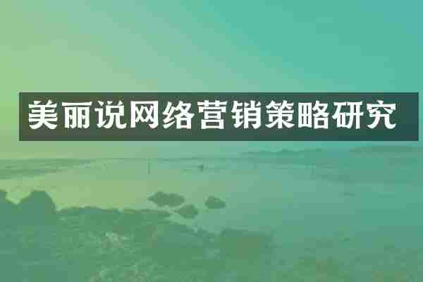 美丽说网络营销策略研究