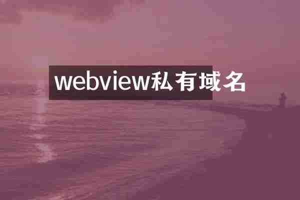 webview私有域名
