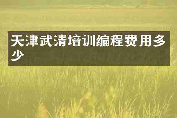 天津武清培训编程费用多少