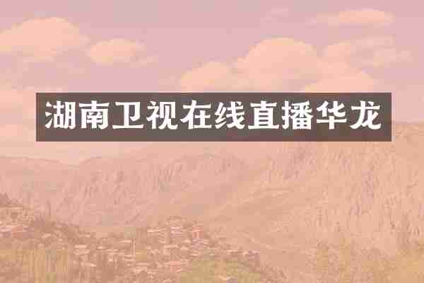 湖南卫视在线直播华龙