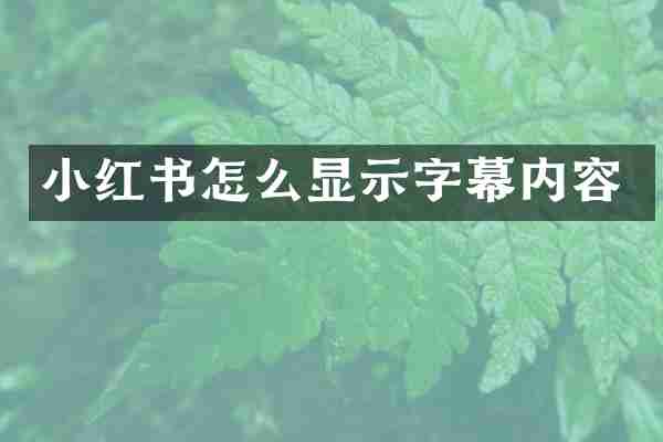 小红书怎么显示字幕内容