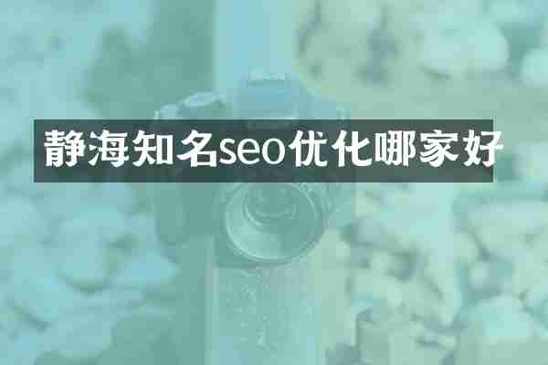 静海知名seo优化哪家好