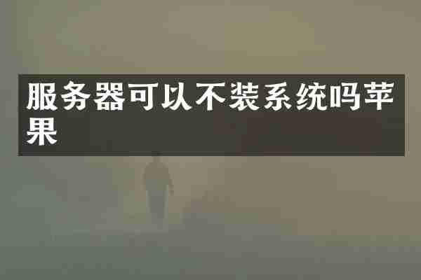 服务器可以不装系统吗苹果