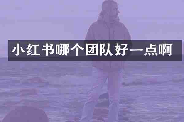小红书哪个团队好一点啊