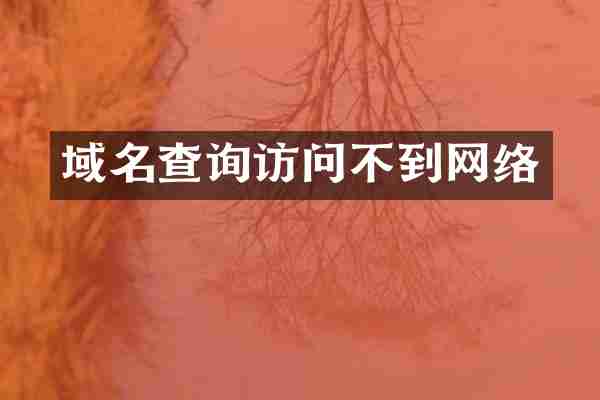 域名查询访问不到网络