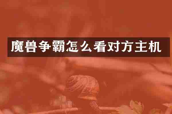魔兽争霸怎么看对方主机