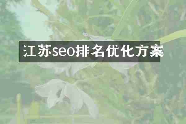 江苏seo排名优化方案