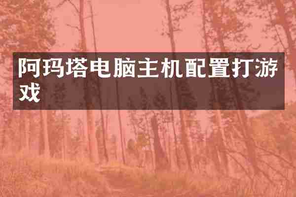 阿玛塔电脑主机配置打游戏