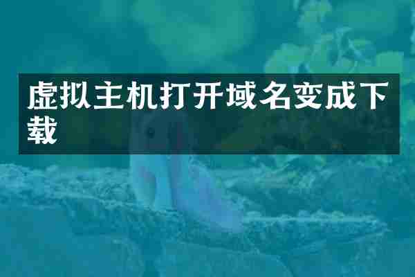 虚拟主机打开域名变成下载