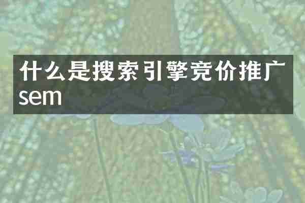 什么是搜索引擎竞价推广sem