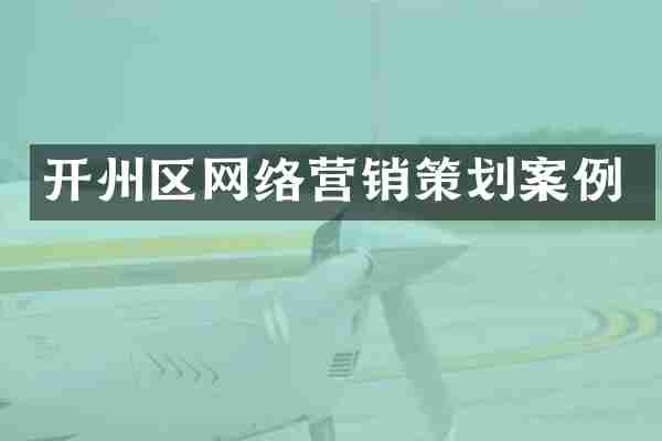 开州区网络营销策划案例