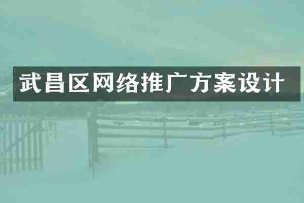 武昌区网络推广方案设计
