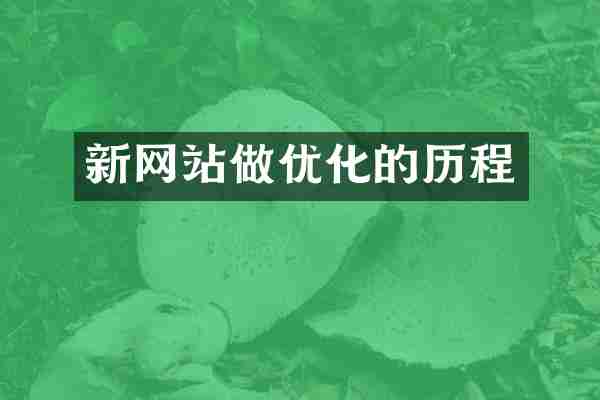 新网站做优化的历程