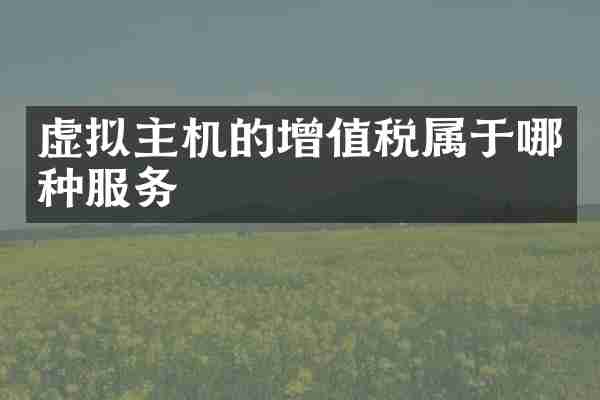 虚拟主机的增值税属于哪种服务