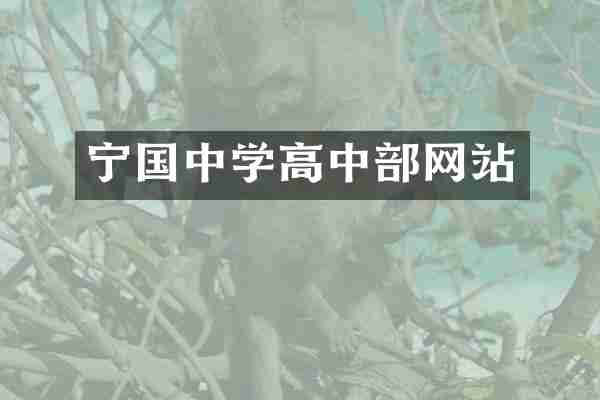宁国中学高中部网站