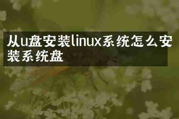 从u盘安装linux系统怎么安装系统盘