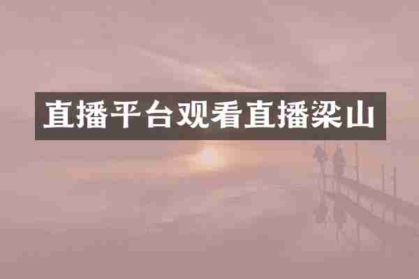直播平台观看直播梁山