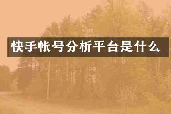 快手帐号分析平台是什么