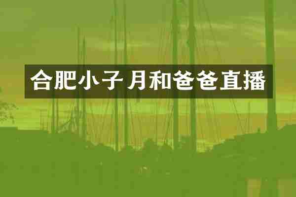 合肥小子月和爸爸直播