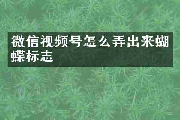 微信视频号怎么弄出来蝴蝶标志