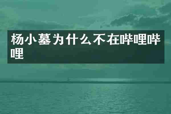 杨小墓为什么不在哔哩哔哩