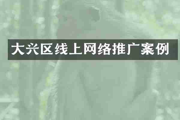 大兴区线上网络推广案例