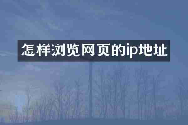 怎样浏览网页的ip地址