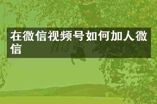 在微信视频号如何加人微信