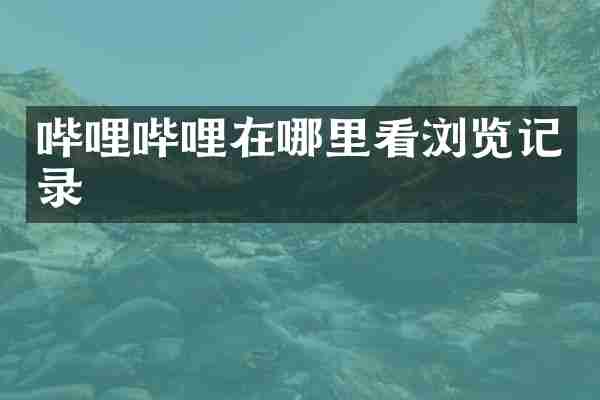 哔哩哔哩在哪里看浏览记录