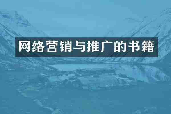 网络营销与推广的书籍
