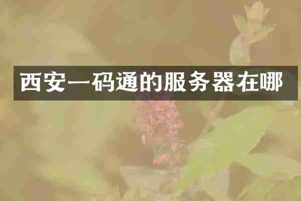 西安一码通的服务器在哪