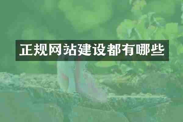正规网站建设都有哪些