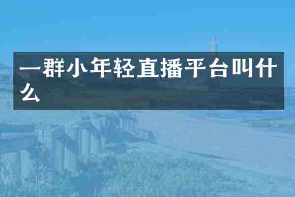 一群小年轻直播平台叫什么