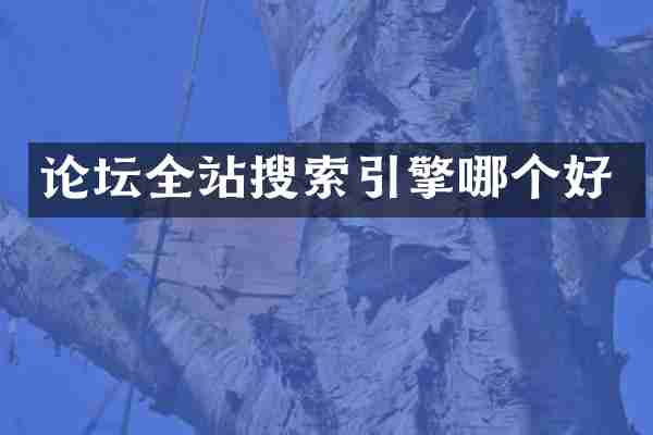 论坛全站搜索引擎哪个好
