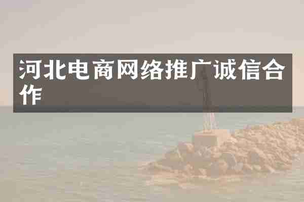 河北电商网络推广诚信合作