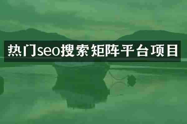 热门seo搜索矩阵平台项目