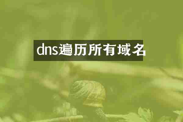 dns遍历所有域名