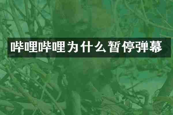 哔哩哔哩为什么暂停弹幕