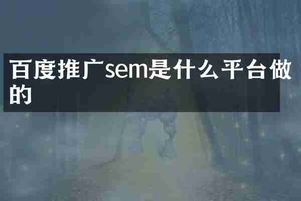 百度推广sem是什么平台做的