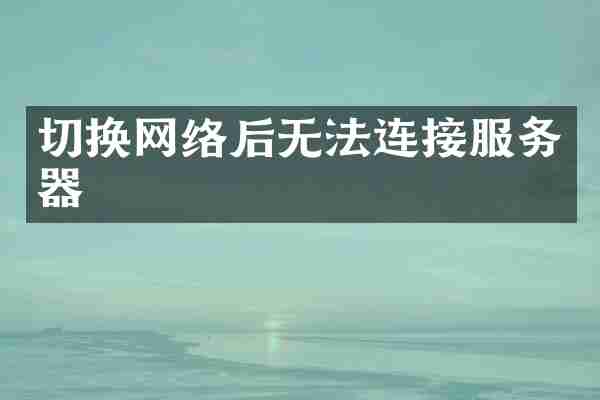 切换网络后无法连接服务器