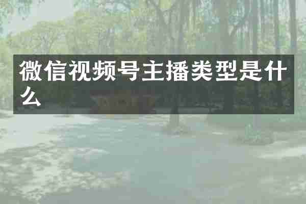 微信视频号主播类型是什么