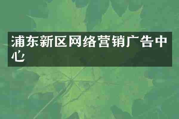 浦东新区网络营销广告中心