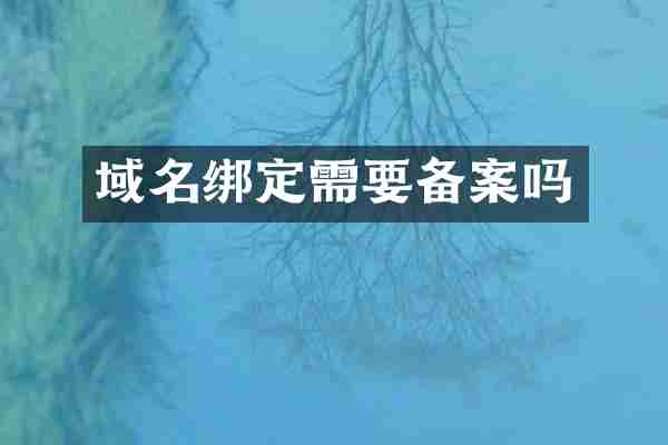 域名绑定需要备案吗