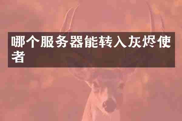 哪个服务器能转入灰烬使者