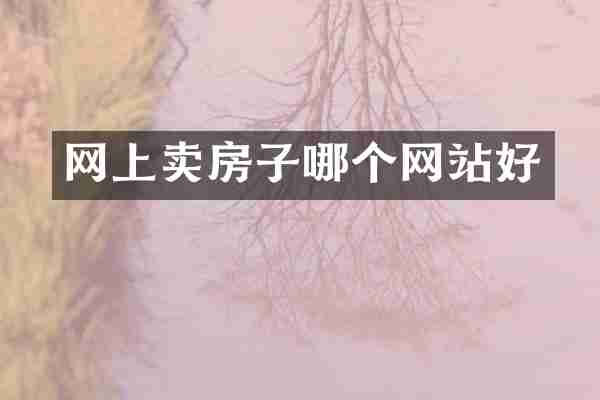 网上卖房子哪个网站好
