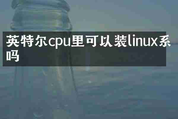 英特尔cpu里可以装linux系统吗