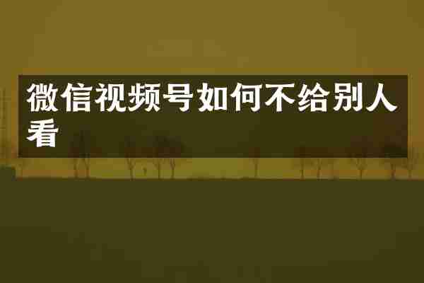 微信视频号如何不给别人看