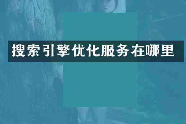 搜索引擎优化服务在哪里