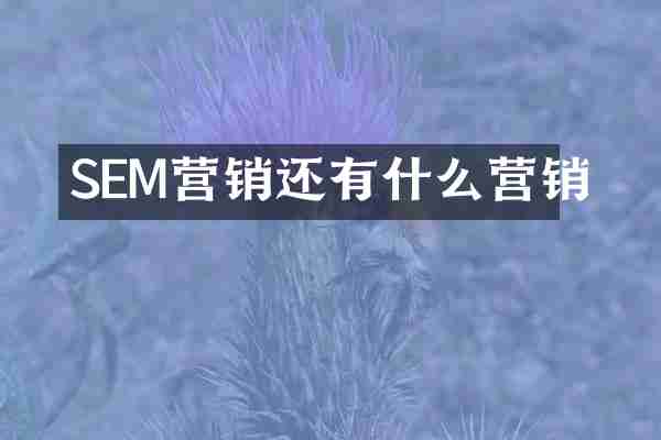 SEM营销还有什么营销