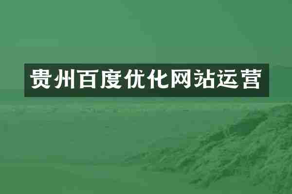 贵州百度优化网站运营